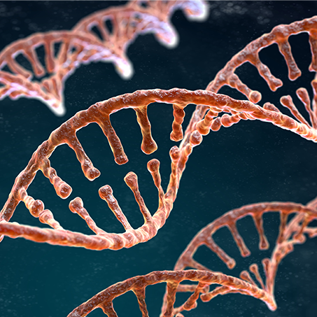 Healthy longevity: Ubiquinol shown to reversebiological age in new study